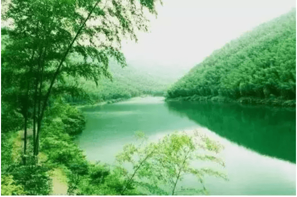 【晚安】沉默是金,吃亏是福!