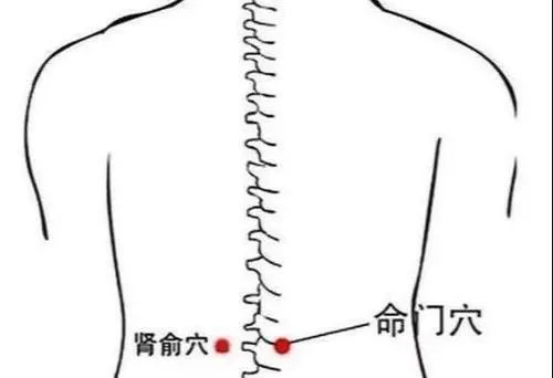 【世界肾脏日】肾不好人先老!多吃"2黑1白",补肾养阳让你底气十足!