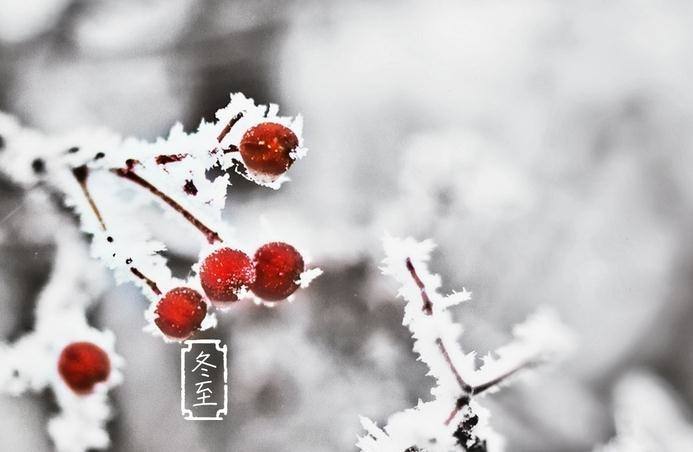 【冬至】送您最美冬至祝福