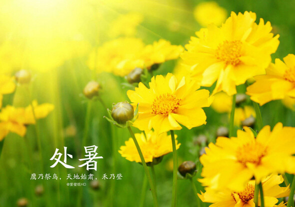 处暑∣秋至夏未央,祝福送给你