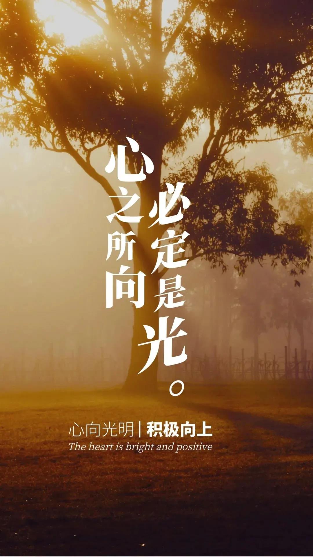 【早安】心之所向,便是阳光;心无所碍,便是远方!