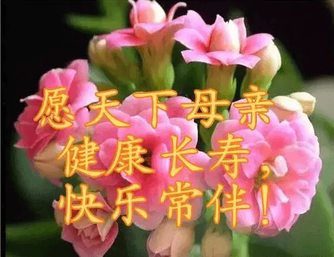 【母亲节】祝所有伟大的母亲节日快乐幸福安康!