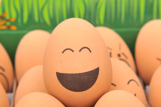 几则笑话送给您祝新年快乐