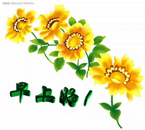 500_448gif 动态图 动图